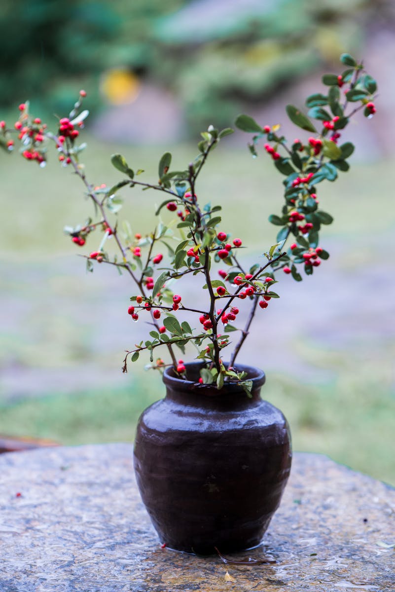 A small vase with berries in it on a table