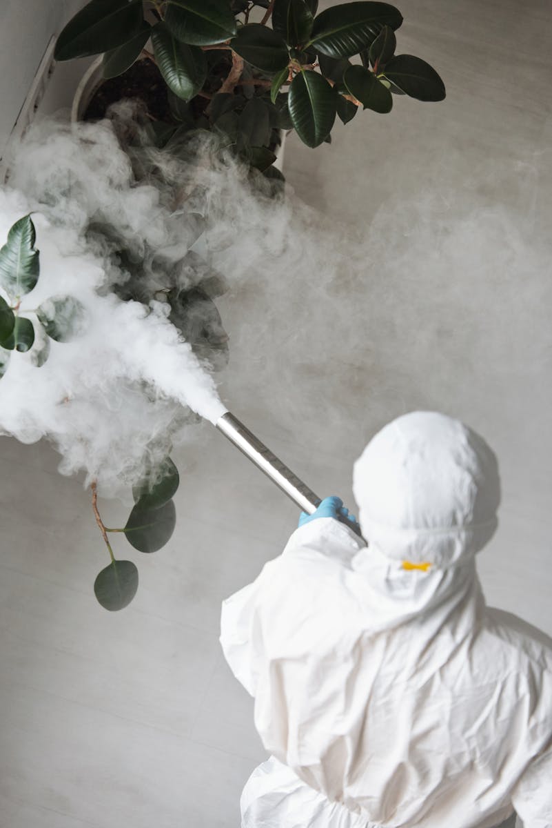 Person in White Protective Clothing Fumigating an Indoor Plant